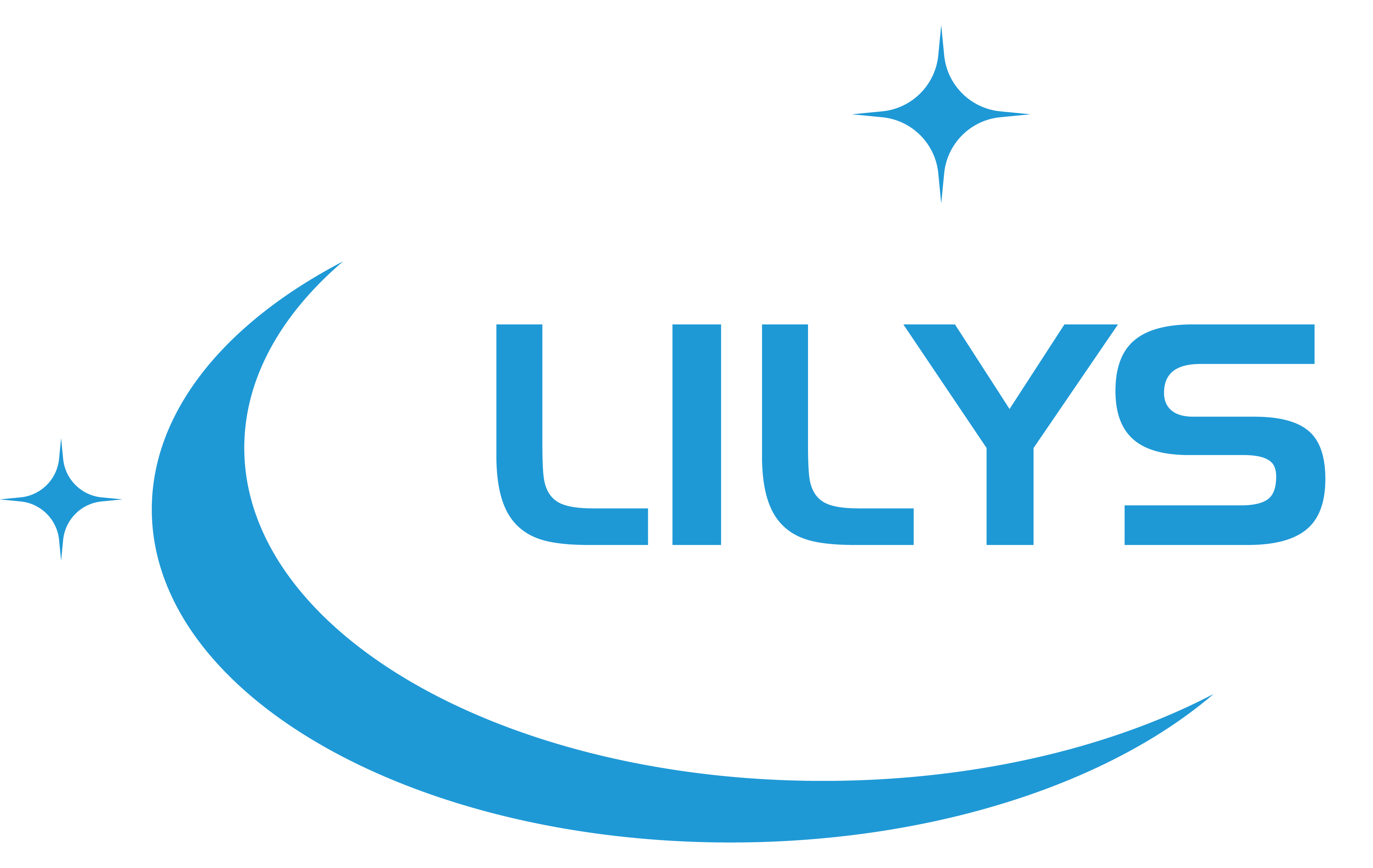 Logo San diego carpet cleaner Lilys Restorations