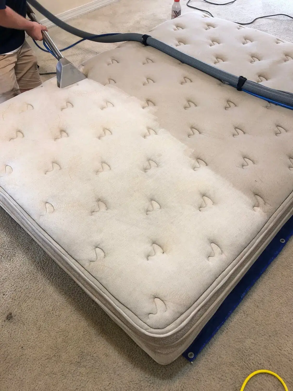 Professional mattress cleaning with steam extraction removing dirt and stains